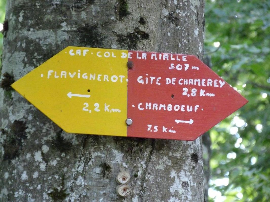 Le Flav - Charmant Appartement A 10 Mn De Dijon Flavignerot Eksteriør billede