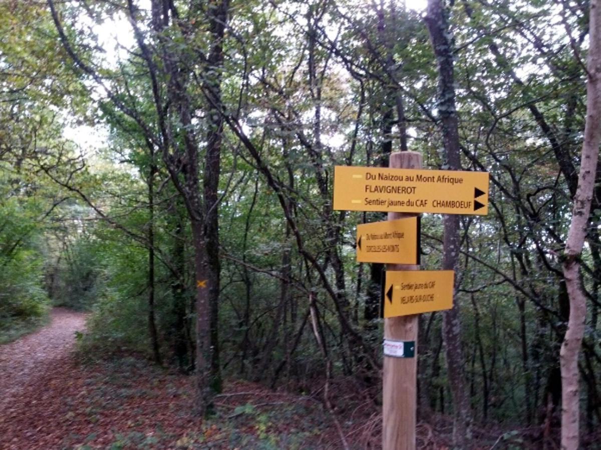 Le Flav - Charmant Appartement A 10 Mn De Dijon Flavignerot Eksteriør billede